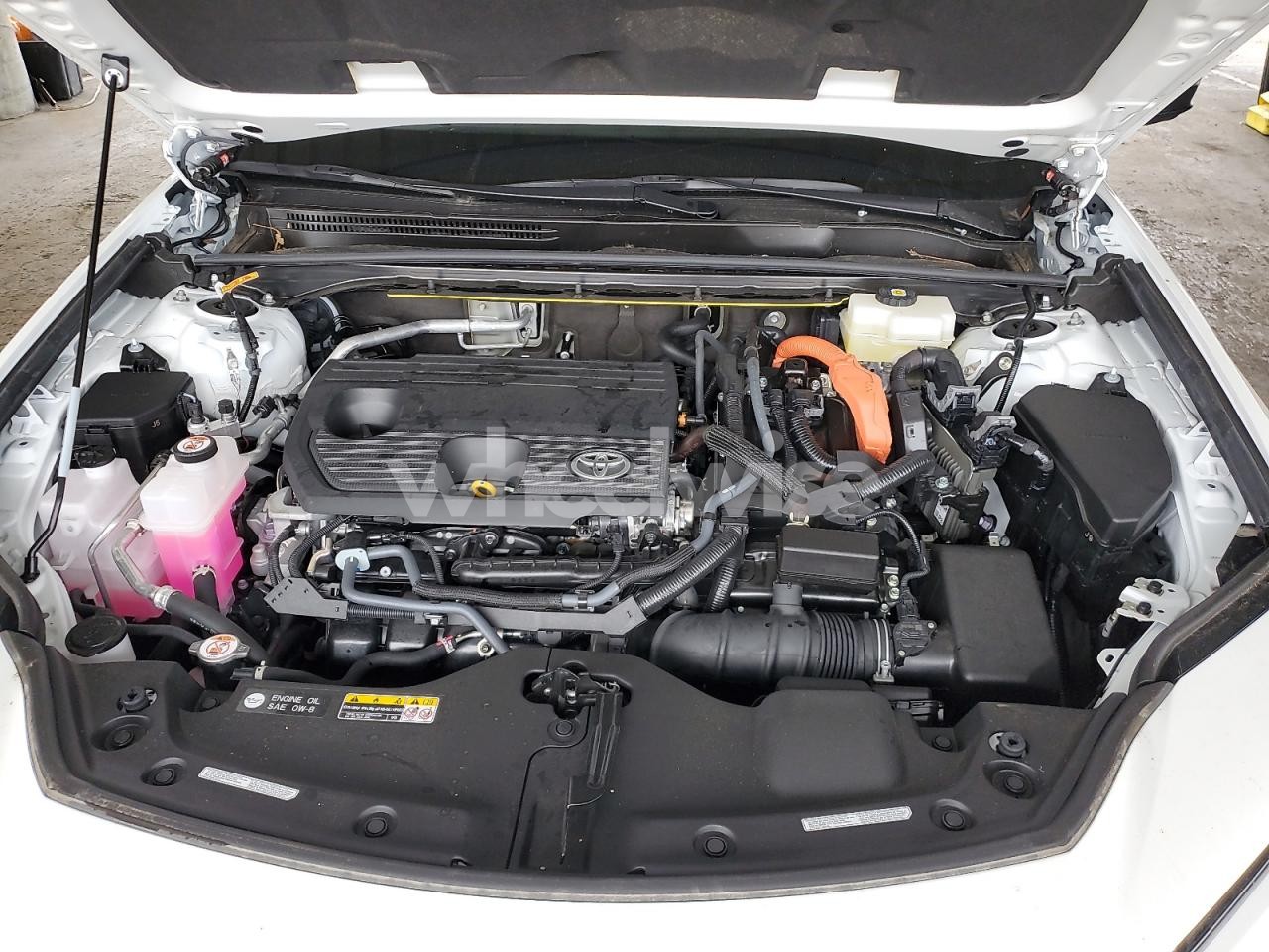 Photo 11 of 2025 TOYOTA CROWN SIGNIA XLE (VIN JTDACAAJ5S3011795)