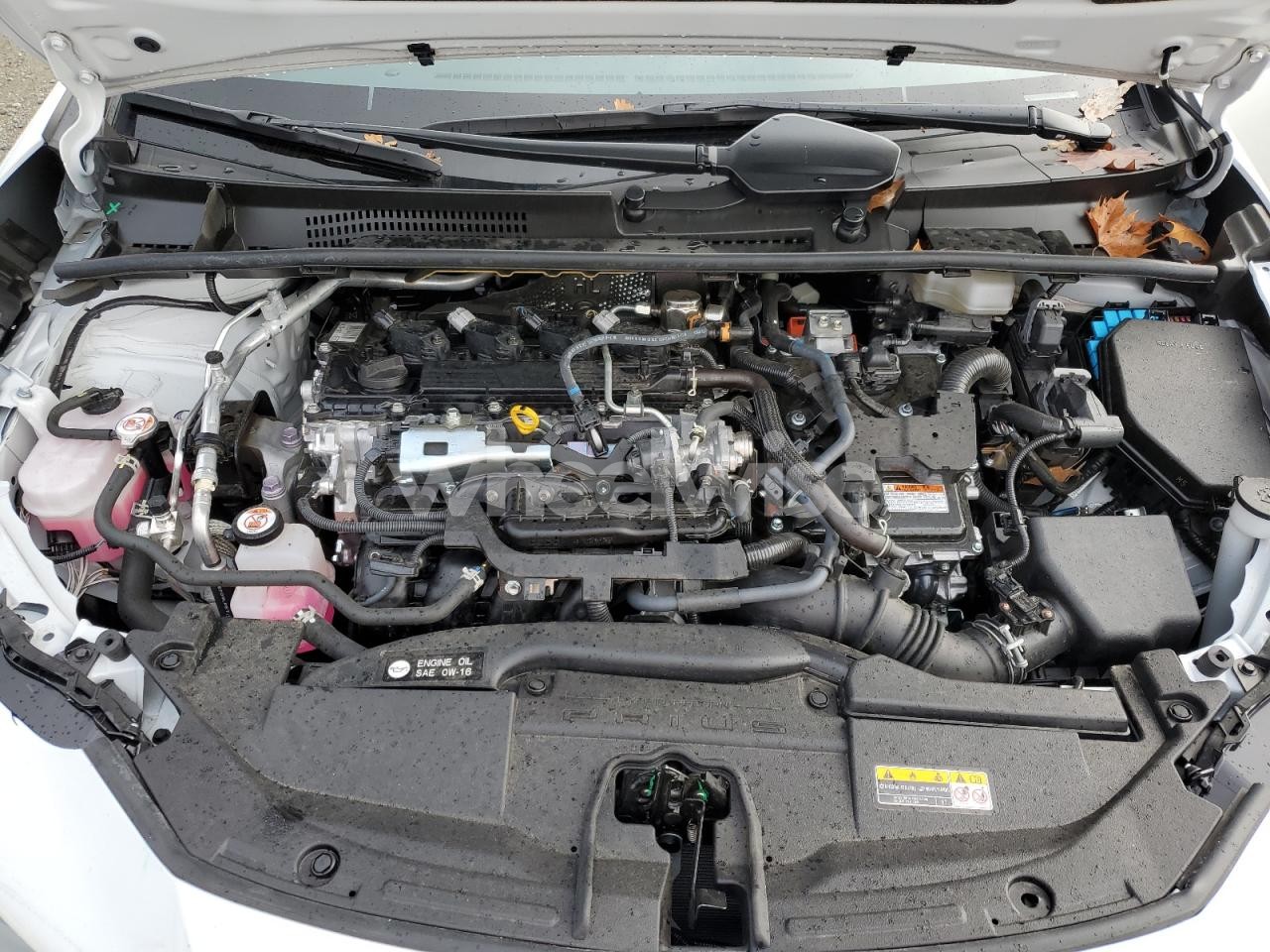 Photo 11 of 2023 TOYOTA PRIUS LE (VIN JTDACAAU6P3014433)