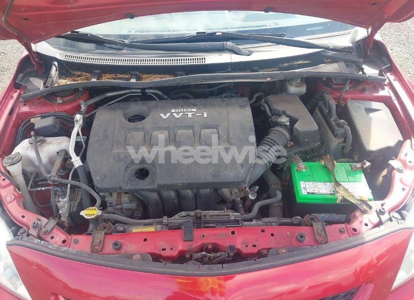 Photo 10 of 2009 Toyota Corolla LE (VIN JTDBL40E19J030277)