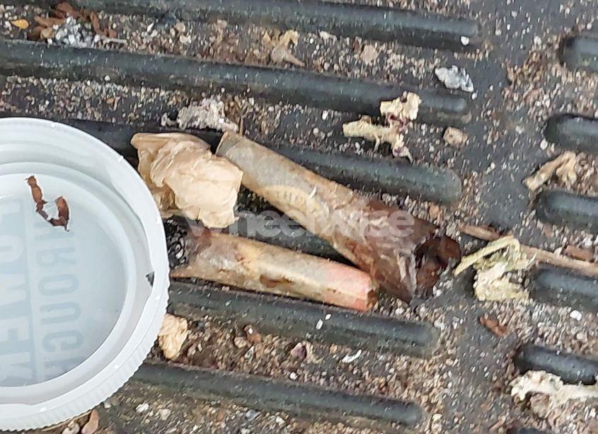 Photo 13 of 2009 Toyota Corolla LE (VIN JTDBL40E599028162)