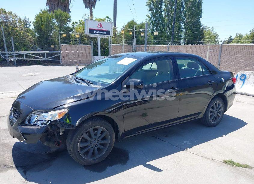 Photo 6 of 2009 Toyota Corolla LE (VIN JTDBL40E599047178)