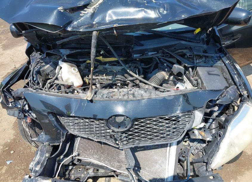 Photo 10 of 2009 Toyota Corolla LE (VIN JTDBL40E599068077)