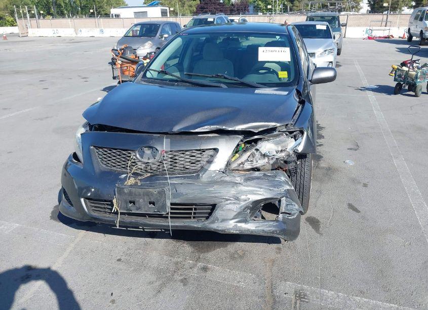 Photo 6 of 2009 Toyota Corolla LE (VIN JTDBL40E79J051487)