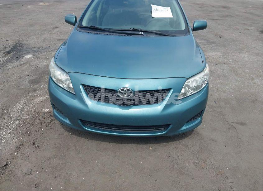 Photo 6 of 2010 Toyota Corolla LE (VIN JTDBU4EE0A9110049)