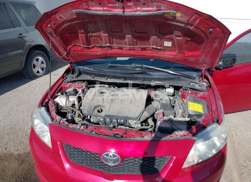 Photo 10 of 2010 Toyota Corolla LE (VIN JTDBU4EE1A9096307)