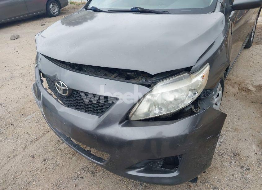 Photo 12 of 2010 Toyota Corolla LE (VIN JTDBU4EE4AJ064451)