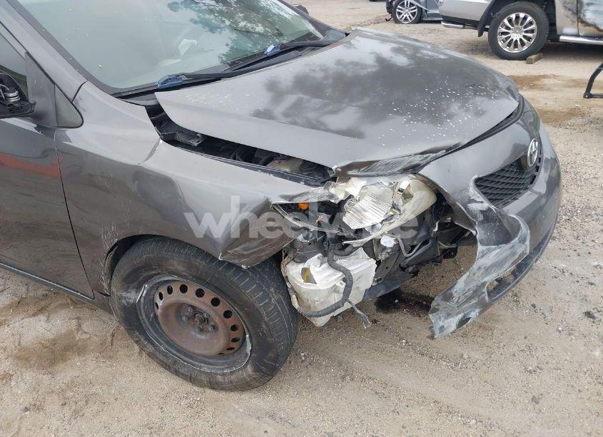 Photo 14 of 2010 Toyota Corolla LE (VIN JTDBU4EE4AJ064451)