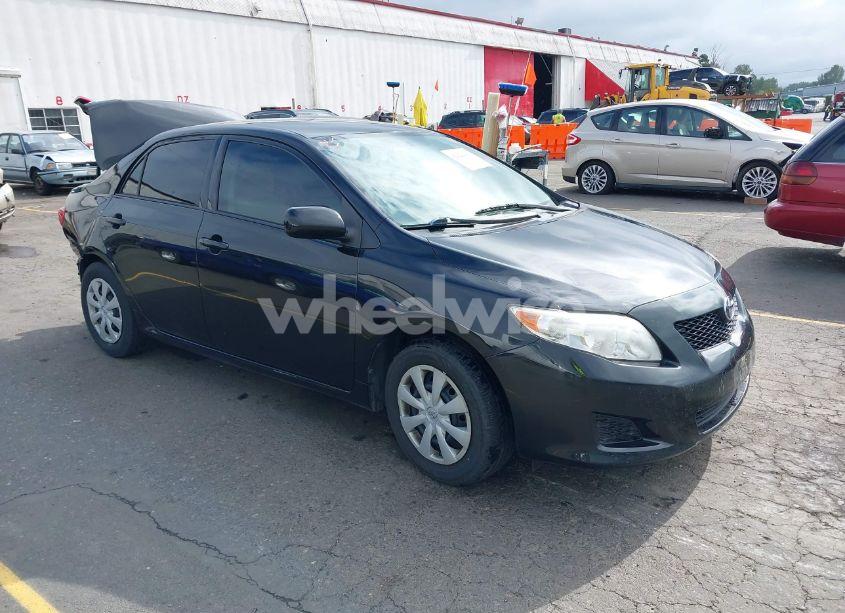 2010 Toyota Corolla LE (VIN JTDBU4EE5AJ079721) main photo