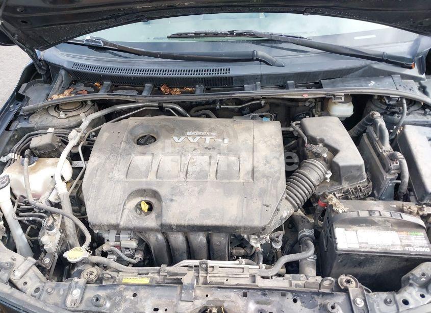 Photo 10 of 2010 Toyota Corolla LE (VIN JTDBU4EE5AJ079721)