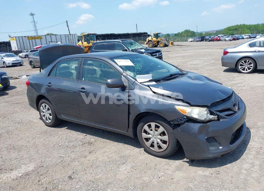 2011 Toyota Corolla LE (VIN JTDBU4EE8B9146606) main photo