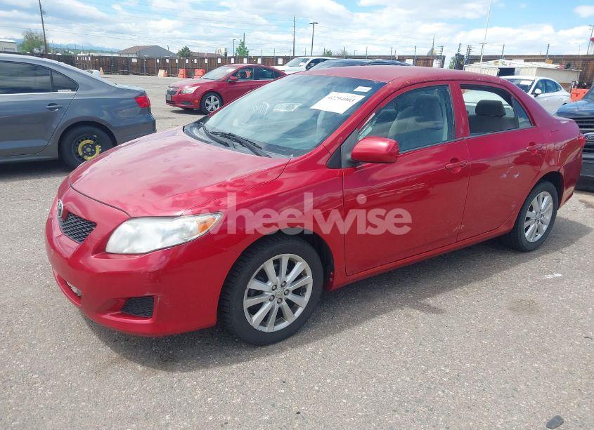 Photo 6 of 2010 Toyota Corolla LE (VIN JTDBU4EE9A9107909)