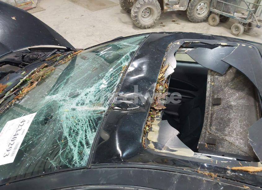 Photo 6 of 2000 Toyota Celica GTS (VIN JTDDY32T1Y0003665)