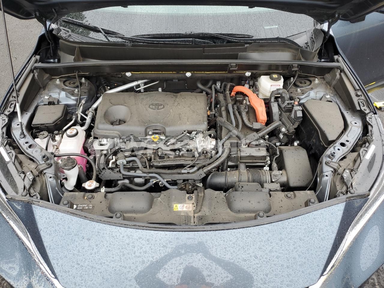 Photo 12 of 2024 TOYOTA VENZA LE (VIN JTEAAAAH0RJ156585)