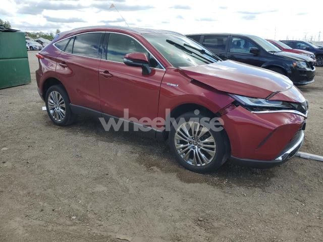 2021 TOYOTA VENZA LE (VIN JTEAAAAH1MJ040613) main photo