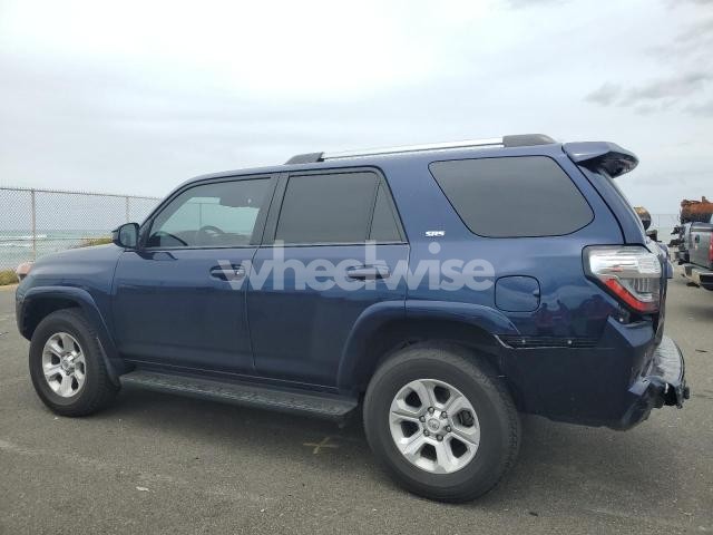 2022 TOYOTA 4RUNNER SR5/SR5 PREMIUM (VIN JTEMU5JR0N5972591) main photo