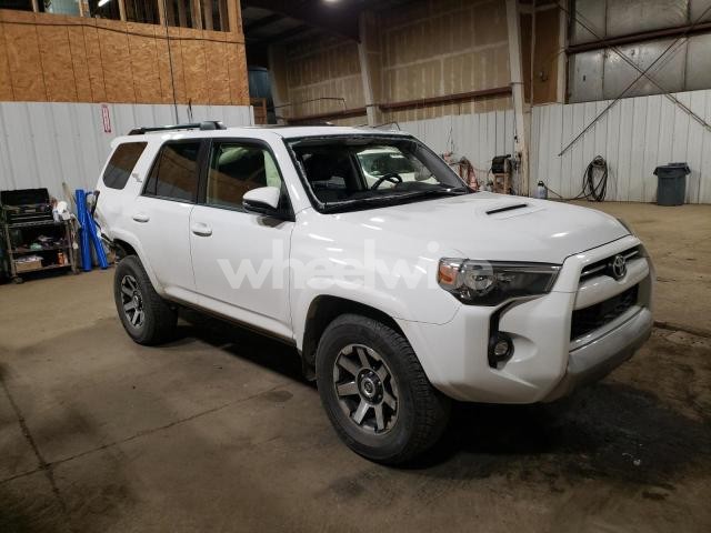 2023 TOYOTA 4RUNNER SE N/A (VIN JTERU5JR4P6192581) main photo