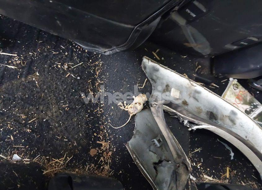 Photo 12 of 2015 Toyota 4runner SR5 PREMIUM (VIN JTEZU5JR1F5100542)