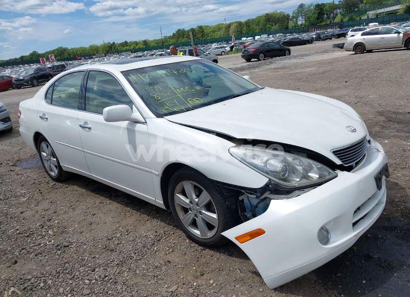 2005 Lexus Es 330 (VIN JTHBA30G155122928) main photo