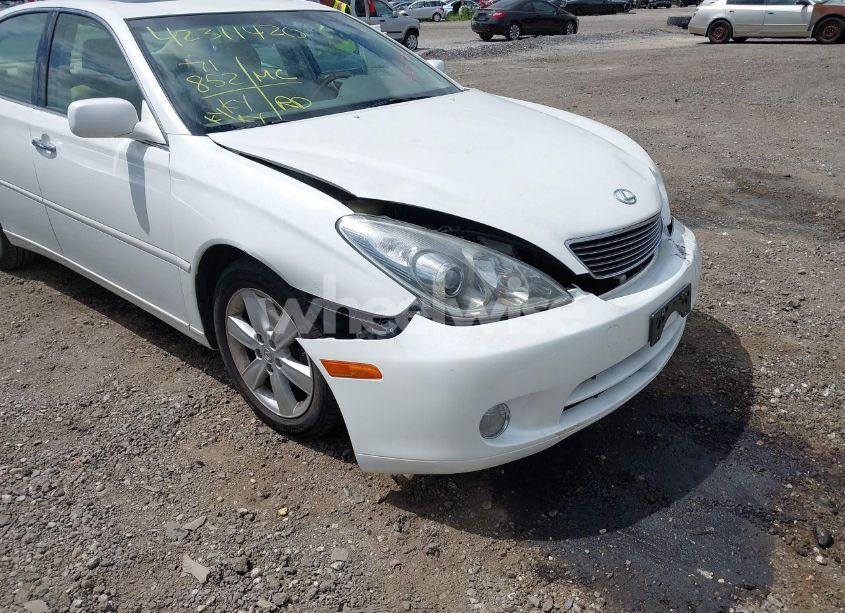 Photo 13 of 2005 Lexus Es 330 (VIN JTHBA30G155122928)