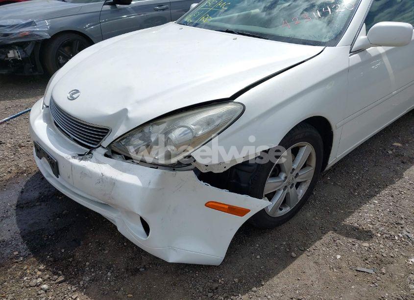 Photo 14 of 2005 Lexus Es 330 (VIN JTHBA30G155122928)