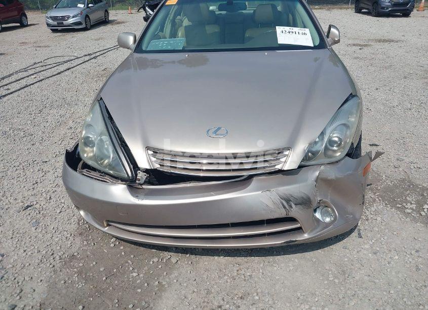 Photo 6 of 2005 Lexus Es 330 (VIN JTHBA30G555081509)