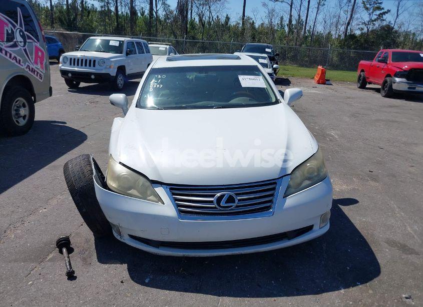 Photo 12 of 2010 Lexus Es 350 (VIN JTHBK1EG2A2390537)