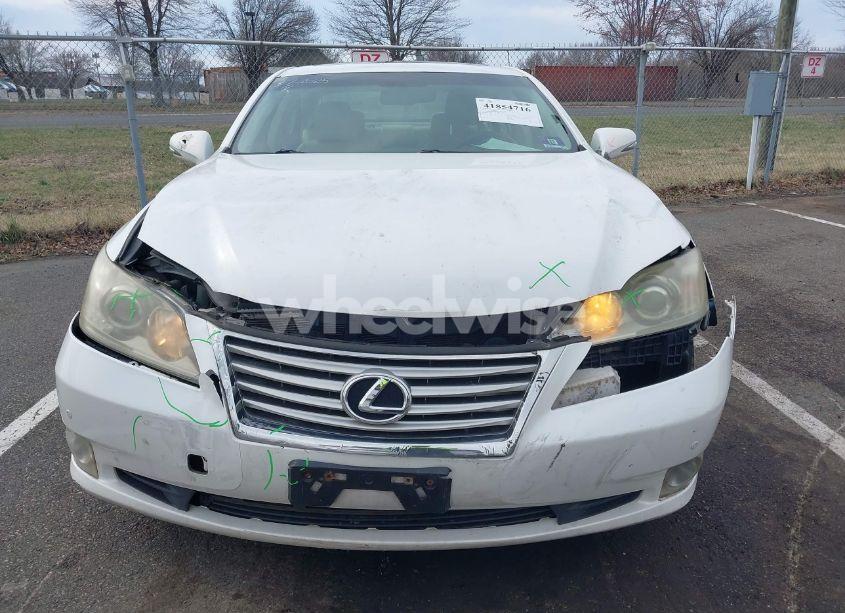 Photo 12 of 2010 Lexus Es 350 (VIN JTHBK1EGXA2374750)