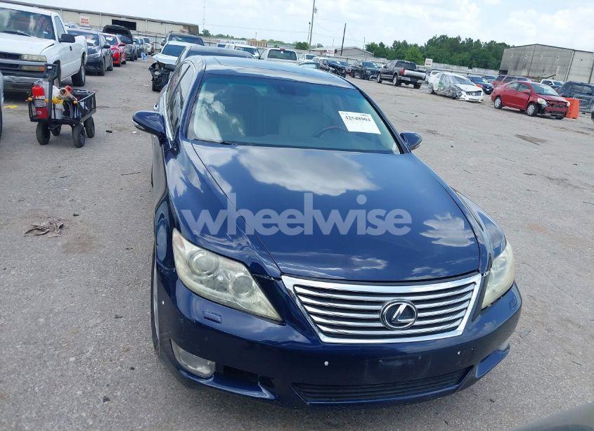 Photo 12 of 2010 Lexus Ls 460 (VIN JTHCL5EF2A5007615)