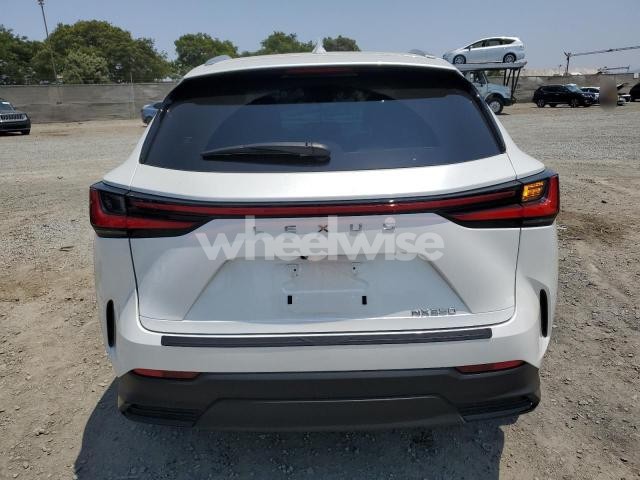 Photo 10 of 2024 LEXUS NX 250 BASE N/A (VIN JTJADCAZ3R2013850)
