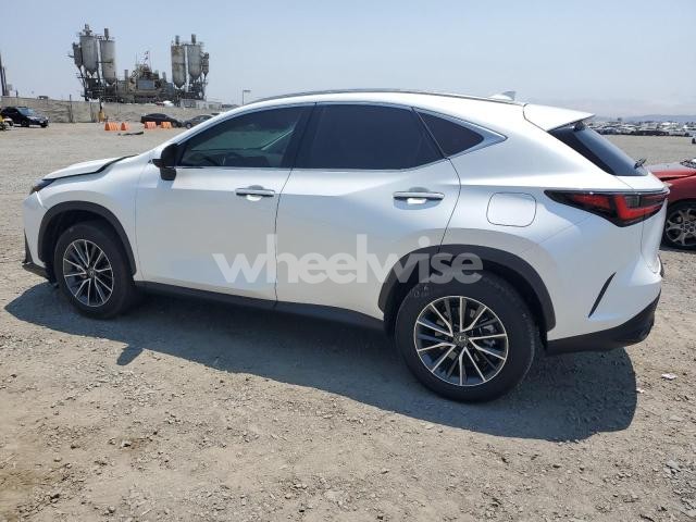 Photo 3 of 2024 LEXUS NX 250 BASE N/A (VIN JTJADCAZ3R2013850)