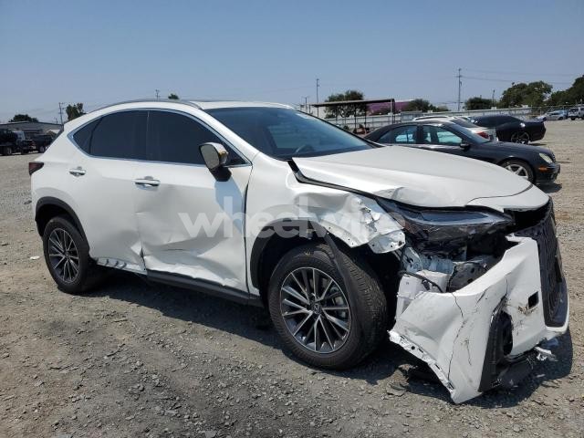 Photo 6 of 2024 LEXUS NX 250 BASE N/A (VIN JTJADCAZ3R2013850)