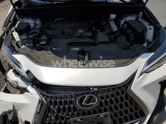 Photo 8 of 2024 LEXUS NX 250 BASE N/A (VIN JTJADCAZ3R2013850)