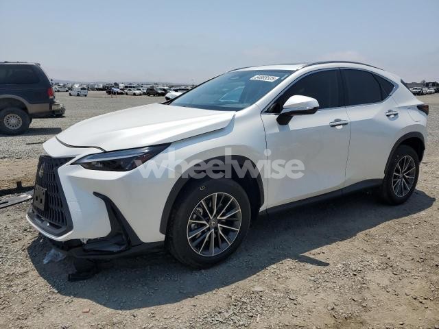 Photo 9 of 2024 LEXUS NX 250 BASE N/A (VIN JTJADCAZ3R2013850)