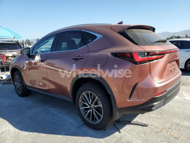 Photo 7 of 2025 LEXUS NX 350H BASE N/A (VIN JTJAKCEZ6S2062272)