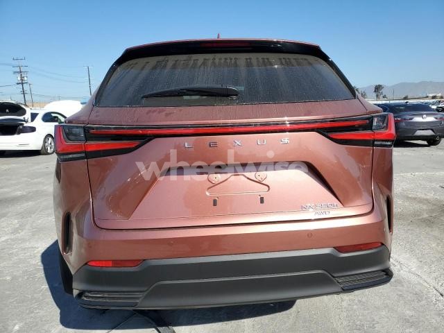 Photo 8 of 2025 LEXUS NX 350H BASE N/A (VIN JTJAKCEZ6S2062272)