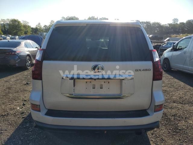 2021 LEXUS GX 460 PREMIUM (VIN JTJAM7BX8M5289419) main photo