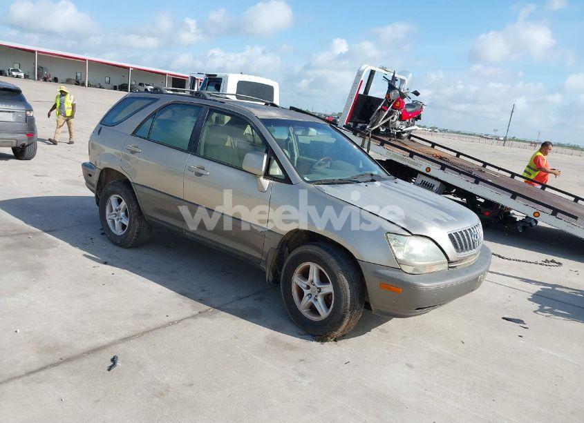 2001 Lexus Rx 300 (VIN JTJGF10UX10113863) main photo