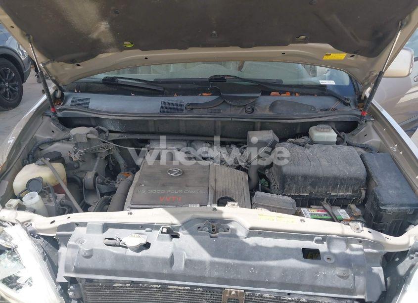 Photo 10 of 2002 Lexus Rx 300 (VIN JTJHF10UX20289723)