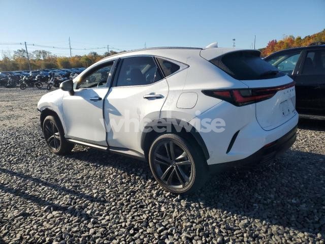 Photo 11 of 2025 LEXUS NX 450H LUXURY (VIN JTJHKCFZ0S2053130)