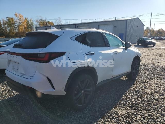 Photo 13 of 2025 LEXUS NX 450H LUXURY (VIN JTJHKCFZ0S2053130)