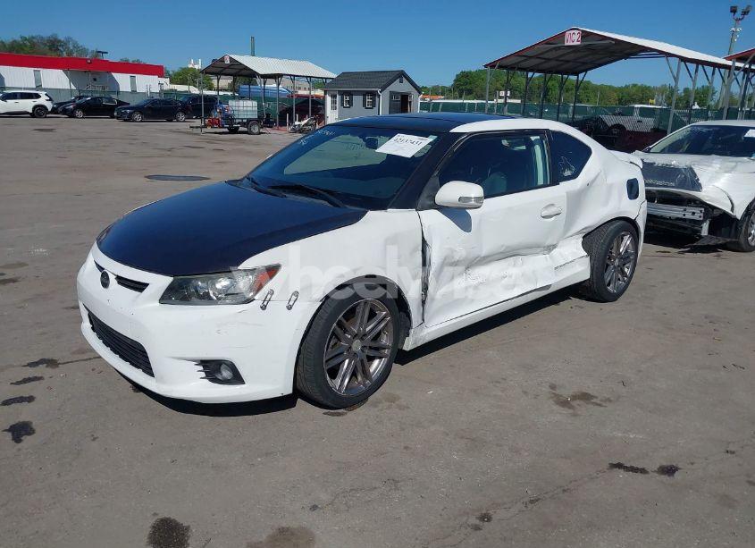 Photo 2 of 2011 Scion Tc N/A (VIN JTKJF5C73B3013201)