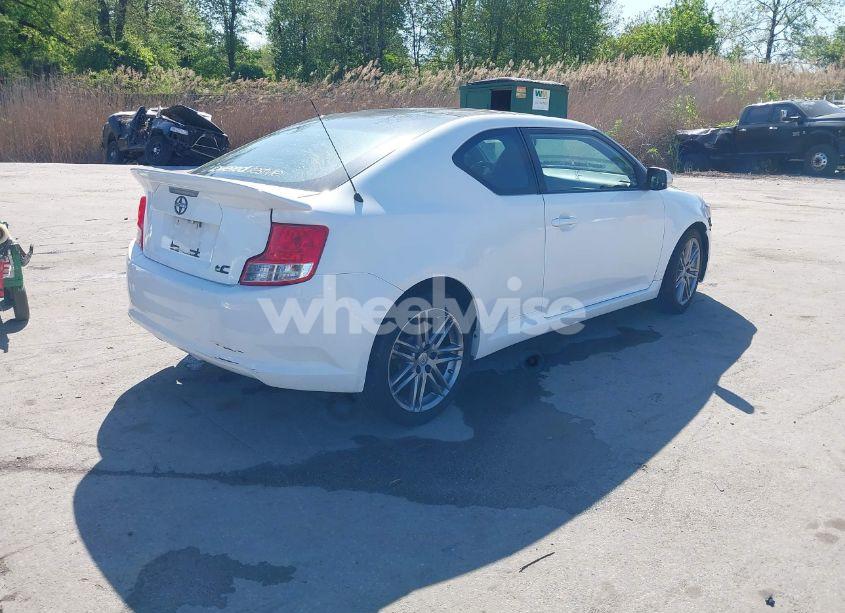 Photo 4 of 2011 Scion Tc N/A (VIN JTKJF5C73B3013201)