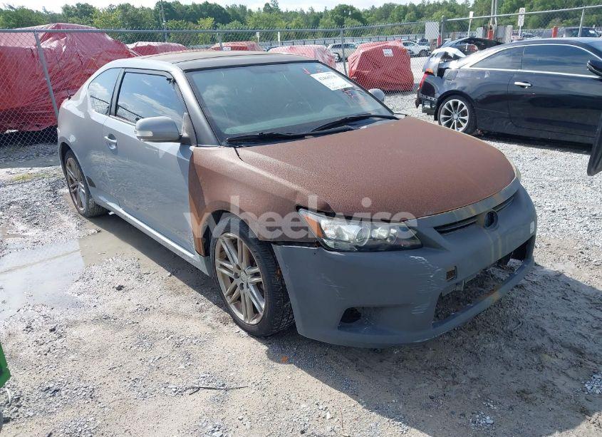 2011 Scion Tc N/A (VIN JTKJF5C75B3004726) main photo