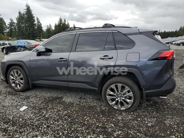 2025 TOYOTA RAV4 XLE PREMIUM (VIN JTMA1RFV2SJ043728) main photo