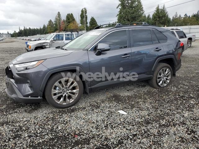 Photo 5 of 2025 TOYOTA RAV4 XLE PREMIUM (VIN JTMA1RFV2SJ043728)