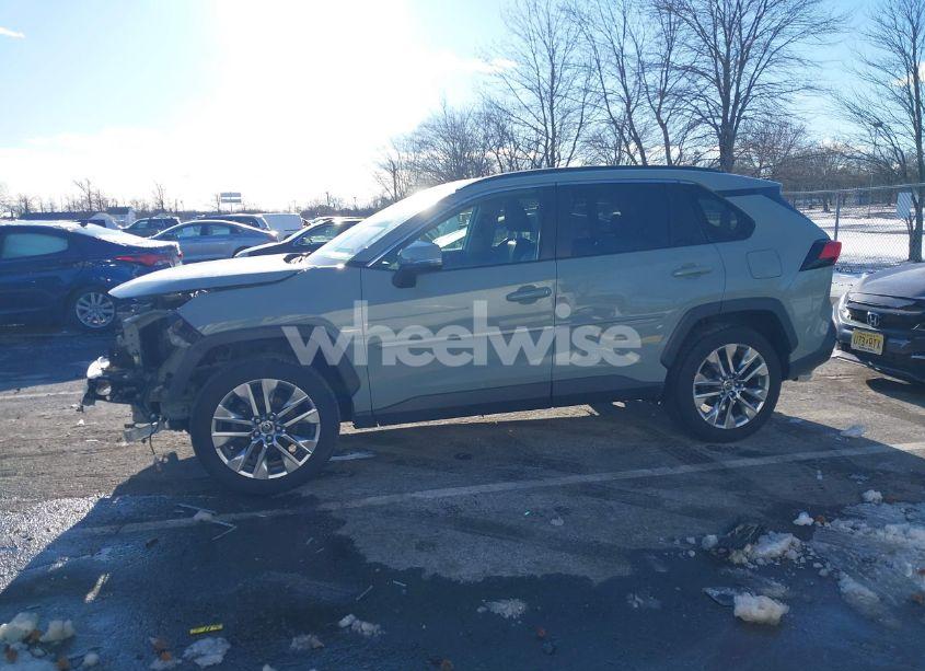 Photo 14 of 2019 Toyota Rav4 XLE PREMIUM (VIN JTMA1RFV6KD517369)