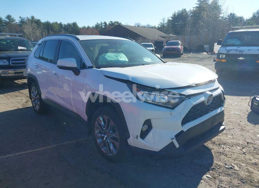 2019 Toyota Rav4 XLE PREMIUM (VIN JTMA1RFV9KJ007728) main photo