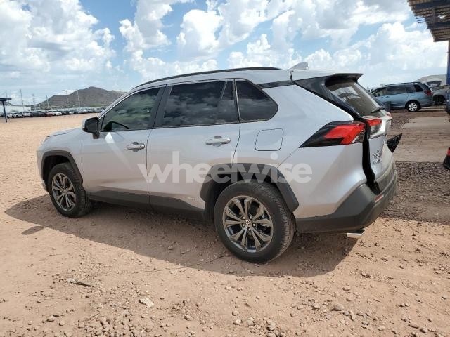 Photo 13 of 2025 TOYOTA RAV4 XLE PREMIUM (VIN JTMB6RFV2SD164697)