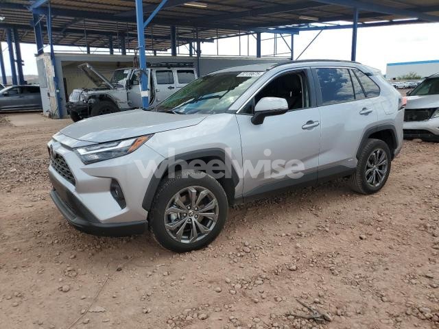 Photo 14 of 2025 TOYOTA RAV4 XLE PREMIUM (VIN JTMB6RFV2SD164697)