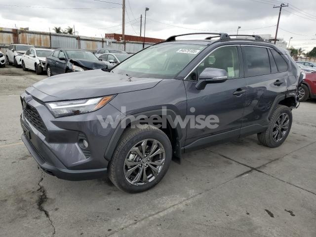 Photo 2 of 2025 TOYOTA RAV4 XLE PREMIUM (VIN JTMB6RFV4SJ074842)